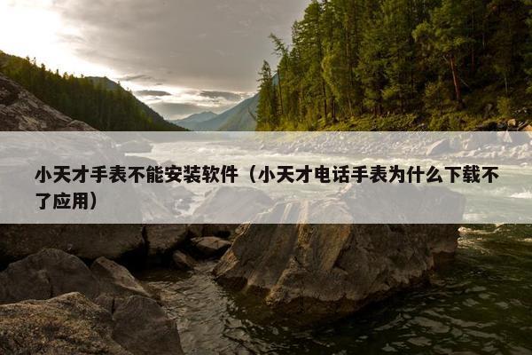 小天才手表不能安装软件(小天才电话手表为什么下载不了应用)