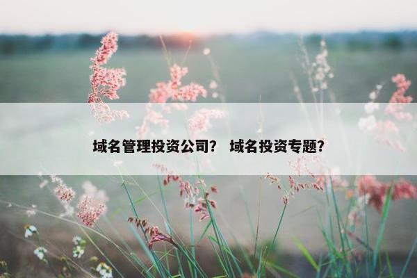 域名管理投资公司? 域名投资专题? 域名管理投资公司? 域名投资专题?