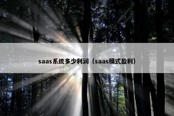 saas系统多少利润(saas模式盈利)