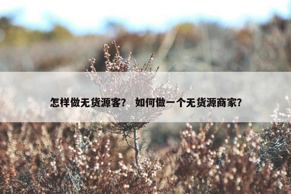 怎样做无货源客? 如何做一个无货源商家?