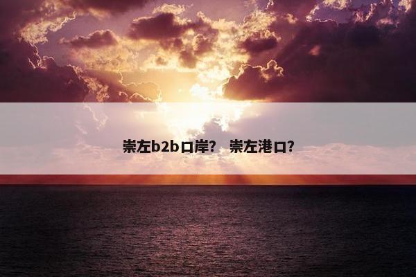 崇左b2b口岸? 崇左港口?
