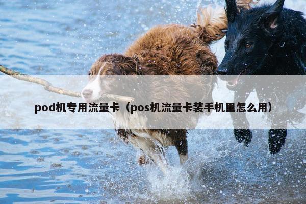 pod机专用流量卡(pos机流量卡装手机里怎么用)