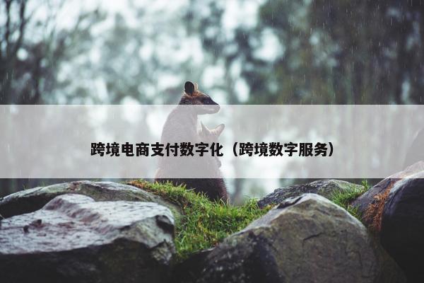 跨境电商支付数字化(跨境数字服务)