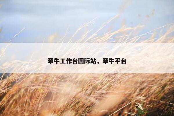 牵牛工作台国际站,牵牛平台