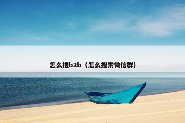 怎么搜b2b(怎么搜索微信群)