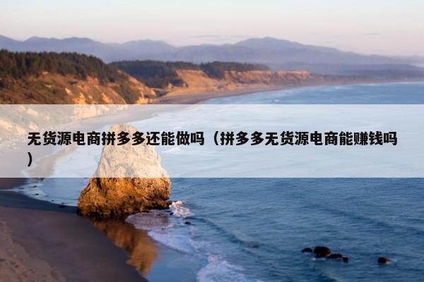 无货源电商拼多多还能做吗(拼多多无货源电商能赚钱吗)