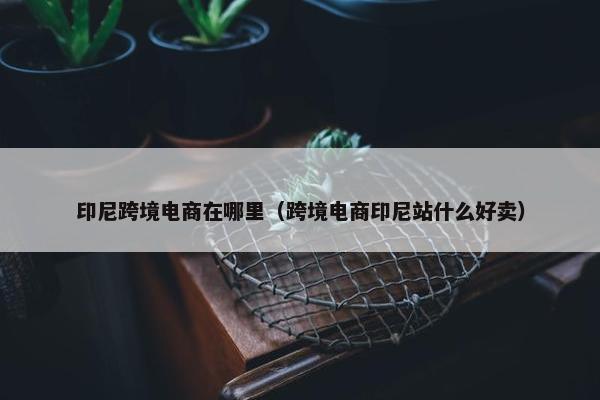 印尼跨境电商在哪里(跨境电商印尼站什么好卖)