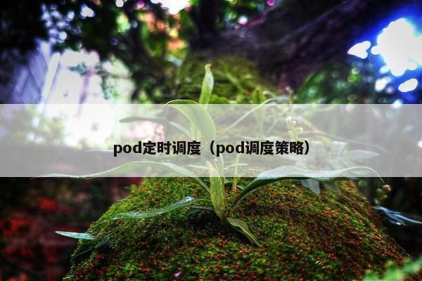 pod定时调度(pod调度策略)
