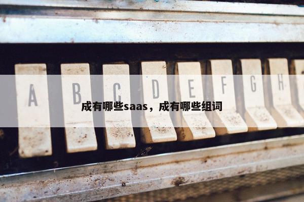 成有哪些saas,成有哪些组词
