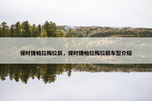保时捷帕拉梅拉新,保时捷帕拉梅拉新车型介绍 保时捷帕拉梅拉新,保时捷帕拉梅拉新车型介绍