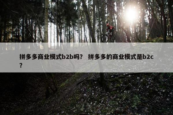 拼多多商业模式b2b吗? 拼多多的商业模式是b2c?