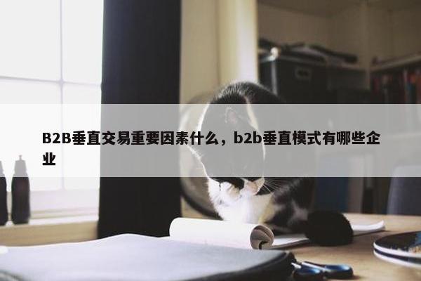 B2B垂直交易重要因素什么,b2b垂直模式有哪些企业