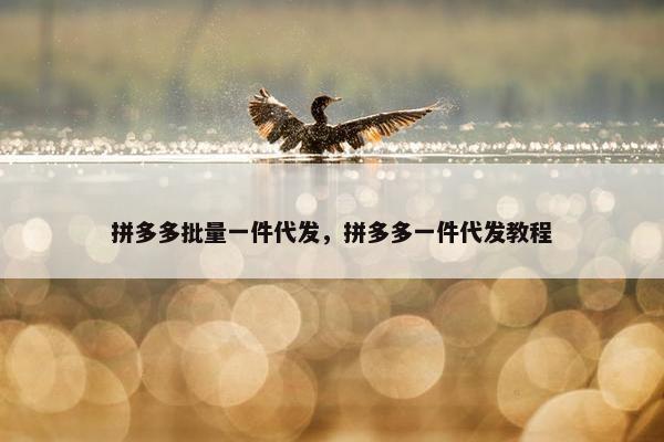 拼多多批量一件代发,拼多多一件代发教程