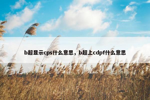 b超显示cps什么意思,b超上cdpf什么意思 b超显示cps什么意思,b超上cdpf什么意思