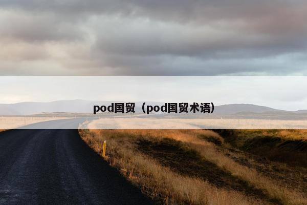 pod国贸（pod国贸术语）