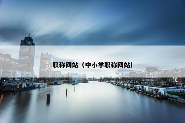 职称网站（中小学职称网站）