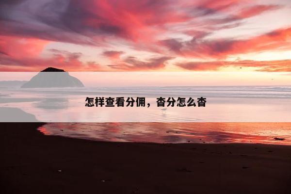 怎样查看分佣,杳分怎么杳
