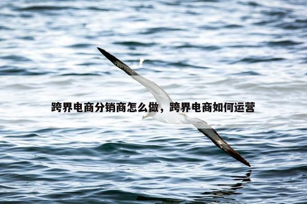跨界电商分销商怎么做,跨界电商如何运营