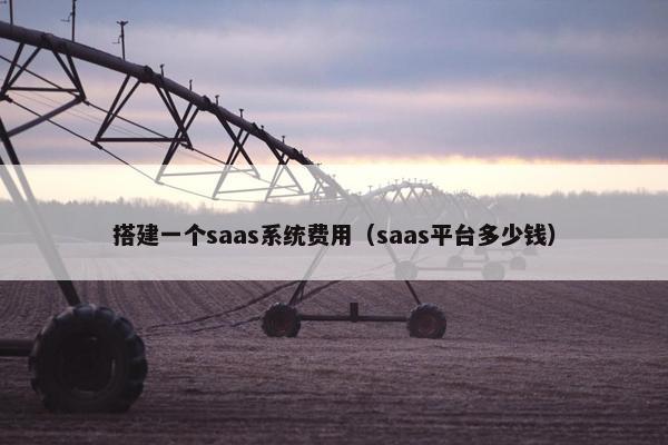 搭建一个saas系统费用(saas平台多少钱)