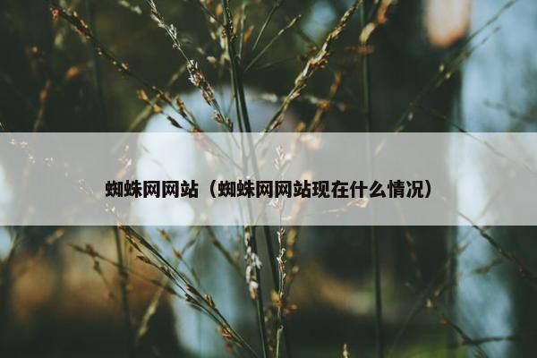 蜘蛛网网站(蜘蛛网网站现在什么情况)