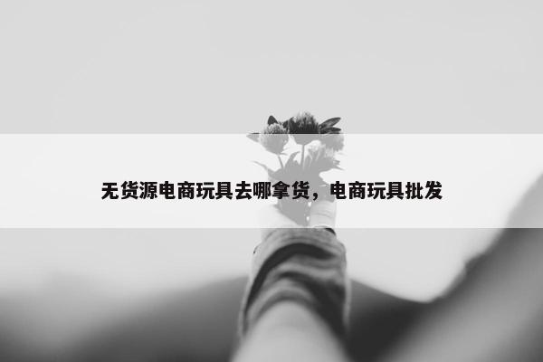 无货源电商玩具去哪拿货,电商玩具批发 无货源电商玩具去哪拿货,电商玩具批发