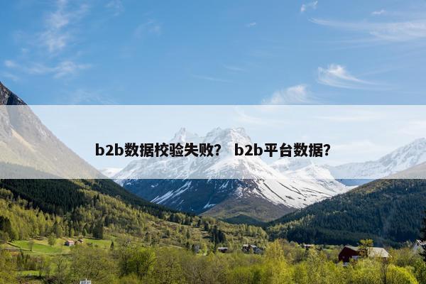 b2b数据校验失败? b2b平台数据?