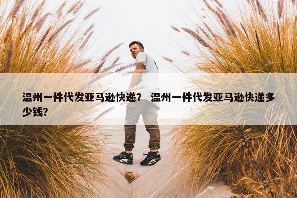 温州一件代发亚马逊快递? 温州一件代发亚马逊快递多少钱?