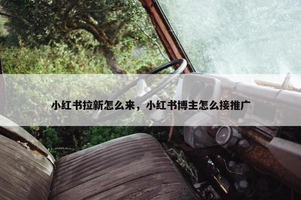 小红书拉新怎么来,小红书博主怎么接推广 小红书拉新怎么来,小红书博主怎么接推广