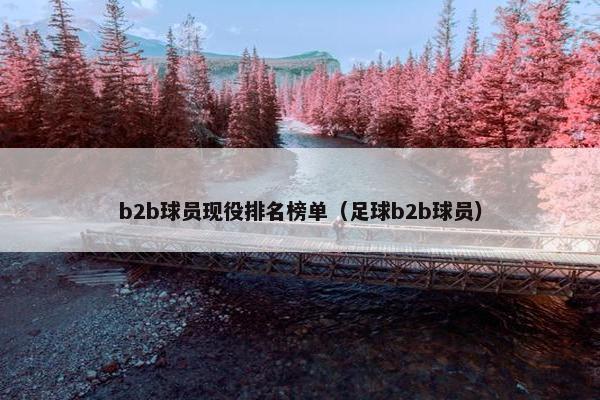 b2b球员现役排名榜单(足球b2b球员)