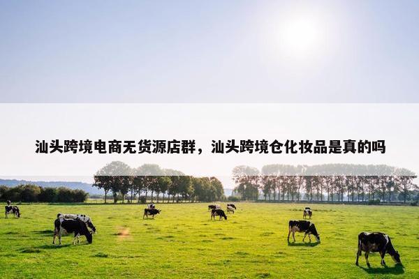 汕头跨境电商无货源店群,汕头跨境仓化妆品是真的吗