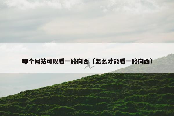 哪个网站可以看一路向西（怎么才能看一路向西）