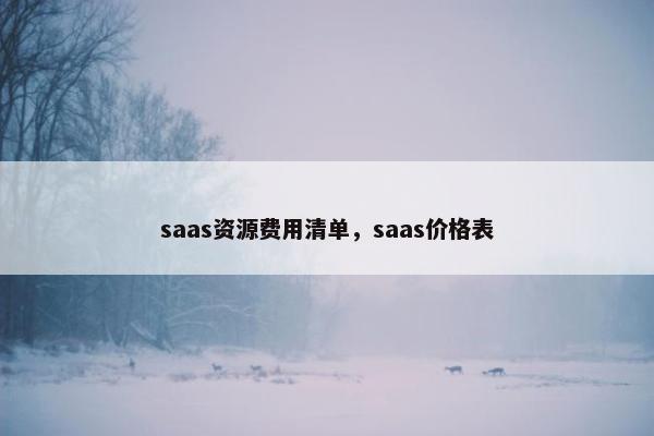 saas资源费用清单,saas价格表