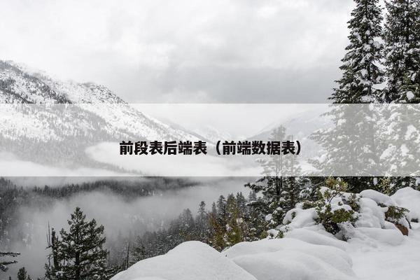 前段表后端表(前端数据表)