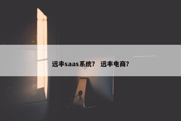 远丰saas系统? 远丰电商?