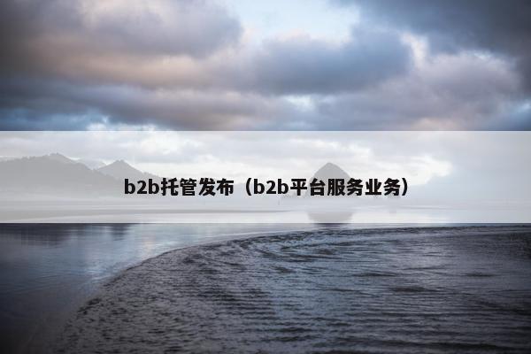 b2b托管发布（b2b平台服务业务）