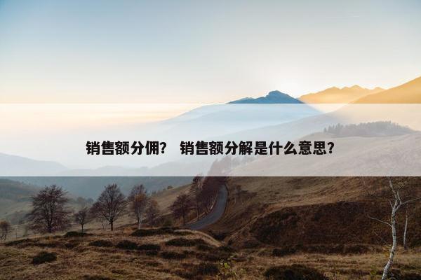 销售额分佣? 销售额分解是什么意思?