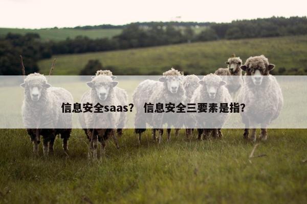 信息安全saas? 信息安全三要素是指?