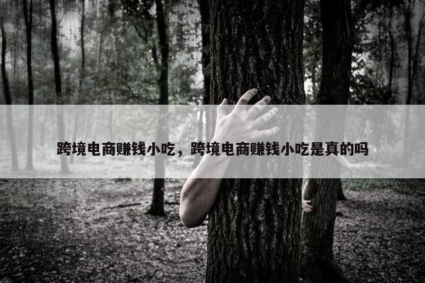 跨境电商赚钱小吃,跨境电商赚钱小吃是真的吗