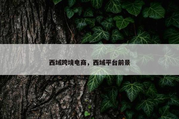 西域跨境电商,西域平台前景