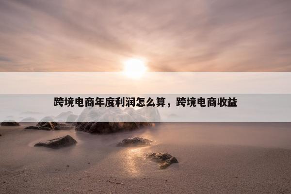 跨境电商年度利润怎么算,跨境电商收益