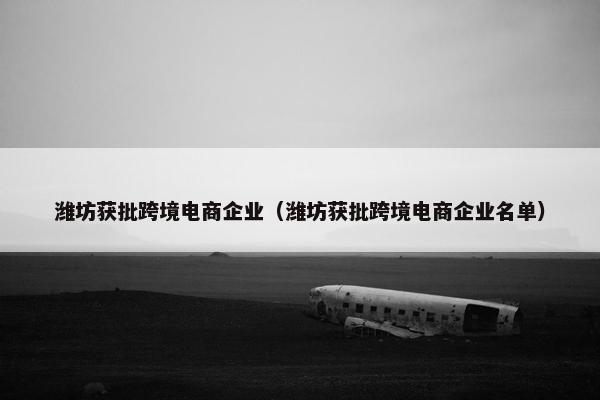 潍坊获批跨境电商企业(潍坊获批跨境电商企业名单)