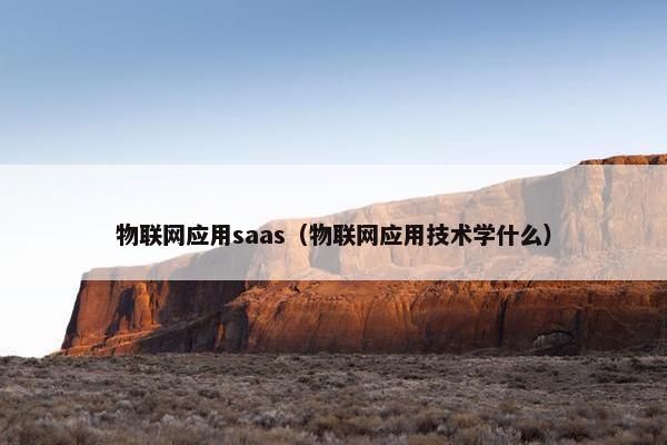 物联网应用saas(物联网应用技术学什么)