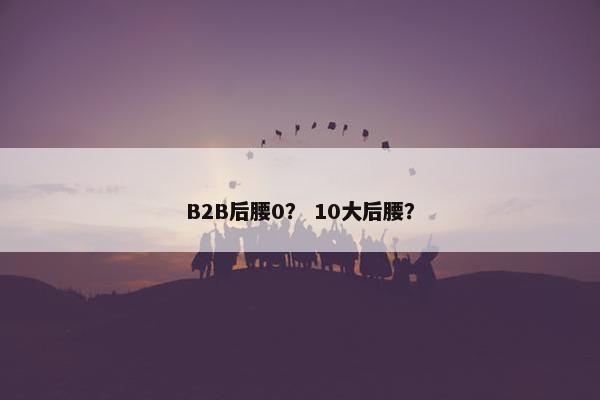 B2B后腰0? 10大后腰? B2B后腰0? 10大后腰?