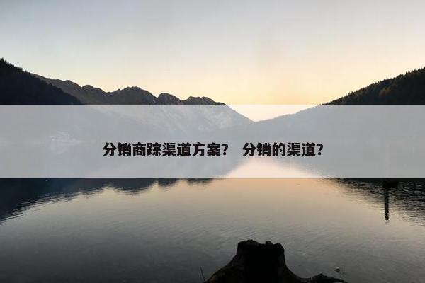 分销商踪渠道方案？ 分销的渠道？