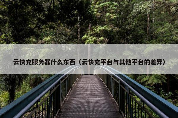 云快充服务器什么东西(云快充平台与其他平台的差异) 云快充服务器什么东西(云快充平台与其他平台的差异)