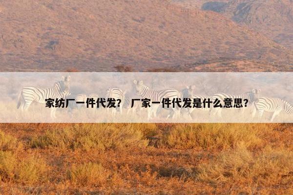 家纺厂一件代发? 厂家一件代发是什么意思?