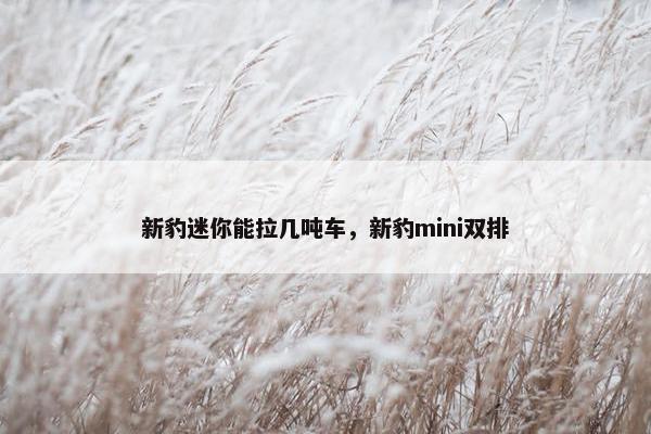 新豹迷你能拉几吨车,新豹mini双排