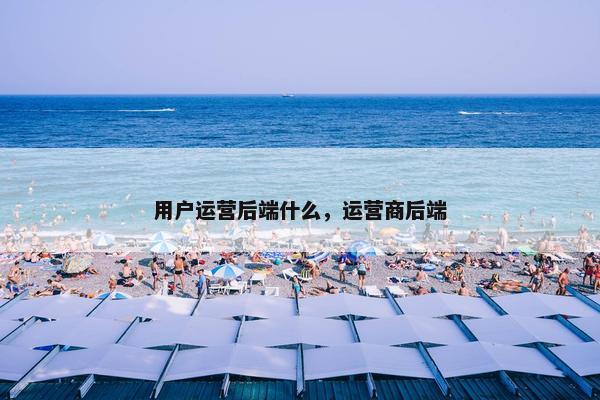 用户运营后端什么,运营商后端
