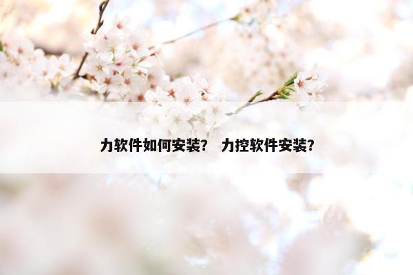 力软件如何安装？ 力控软件安装？