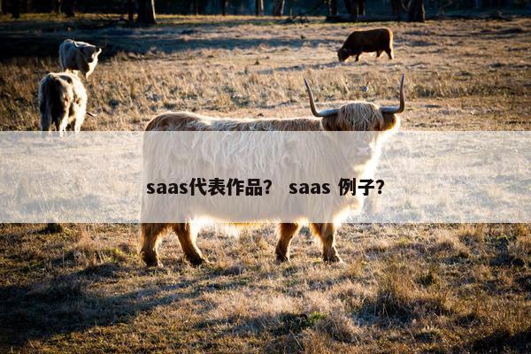 saas代表作品? saas 例子?